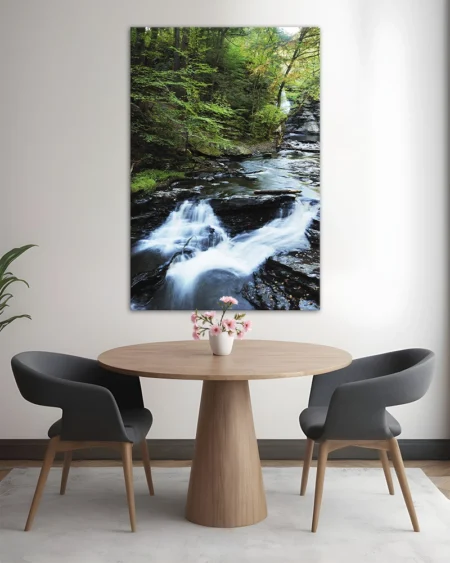 Mountain stream and waterfalls surrounded by tall trees