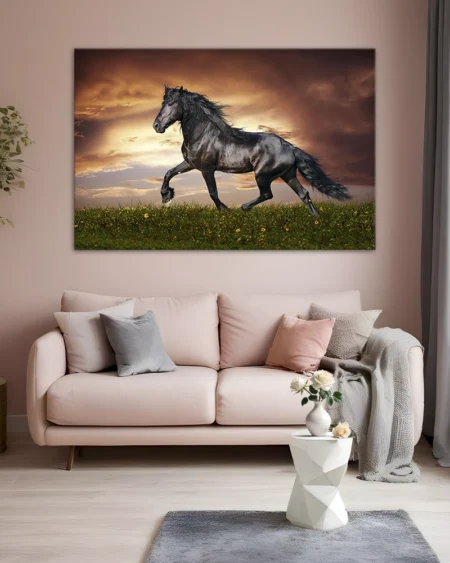 Eleganța sălbatică sub nuanțele apusului