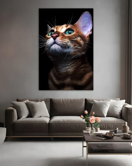 Pisica enigmatică în lumină subtilă