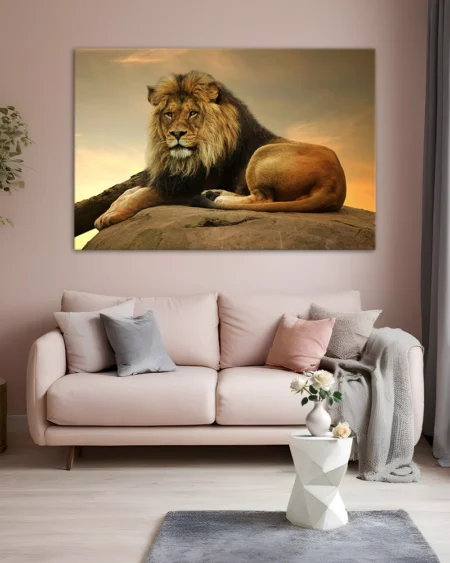 Splendoarea leului sub cerul colorat al apusului