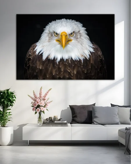 Privirea neînfricată a vulturului pleșuv: O capodoperă a naturii