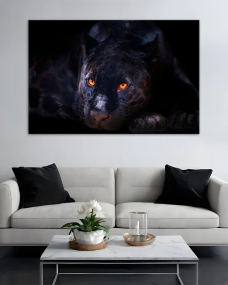 Eleganța sălbatică a panterei negre