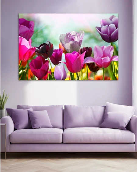 Взрыв красок с тюльпанами