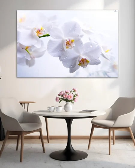 Delicatețea unei orhidee