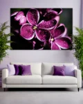 Drops of elegance - Purple flowers in spectacular detail