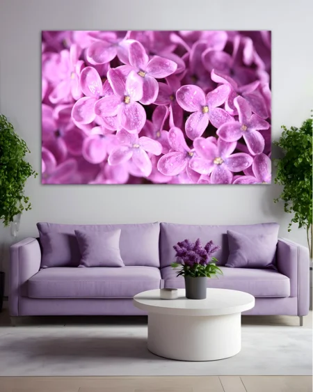Flori liliac delicate sub picături de rouă